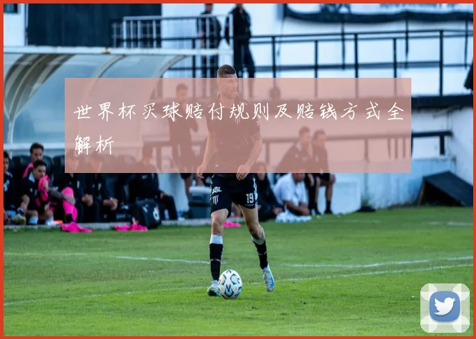 世界杯买球赔付规则及赔钱方式全解析