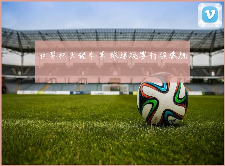 世界杯买错车票 球迷观赛行程尴尬
