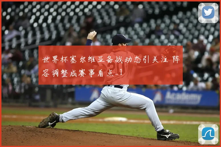 世界杯塞尔维亚备战动态引关注 阵容调整成赛事看点_1