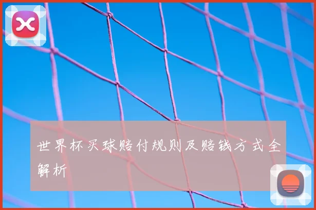 世界杯买球赔付规则及赔钱方式全解析