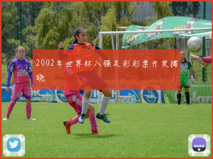 2002年世界杯八强足彩彩票开奖揭晓